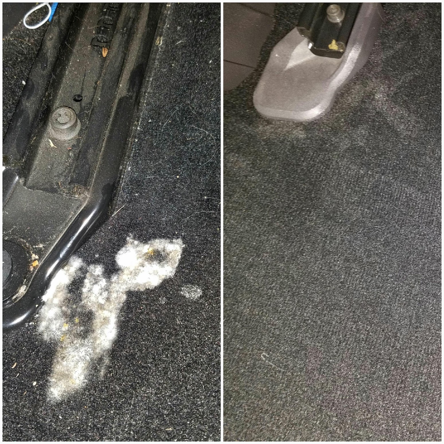 Vehicle detailed by SOS Clean Team — photo 8